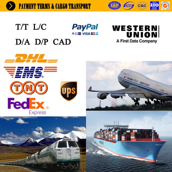 payment terms-cargo transport